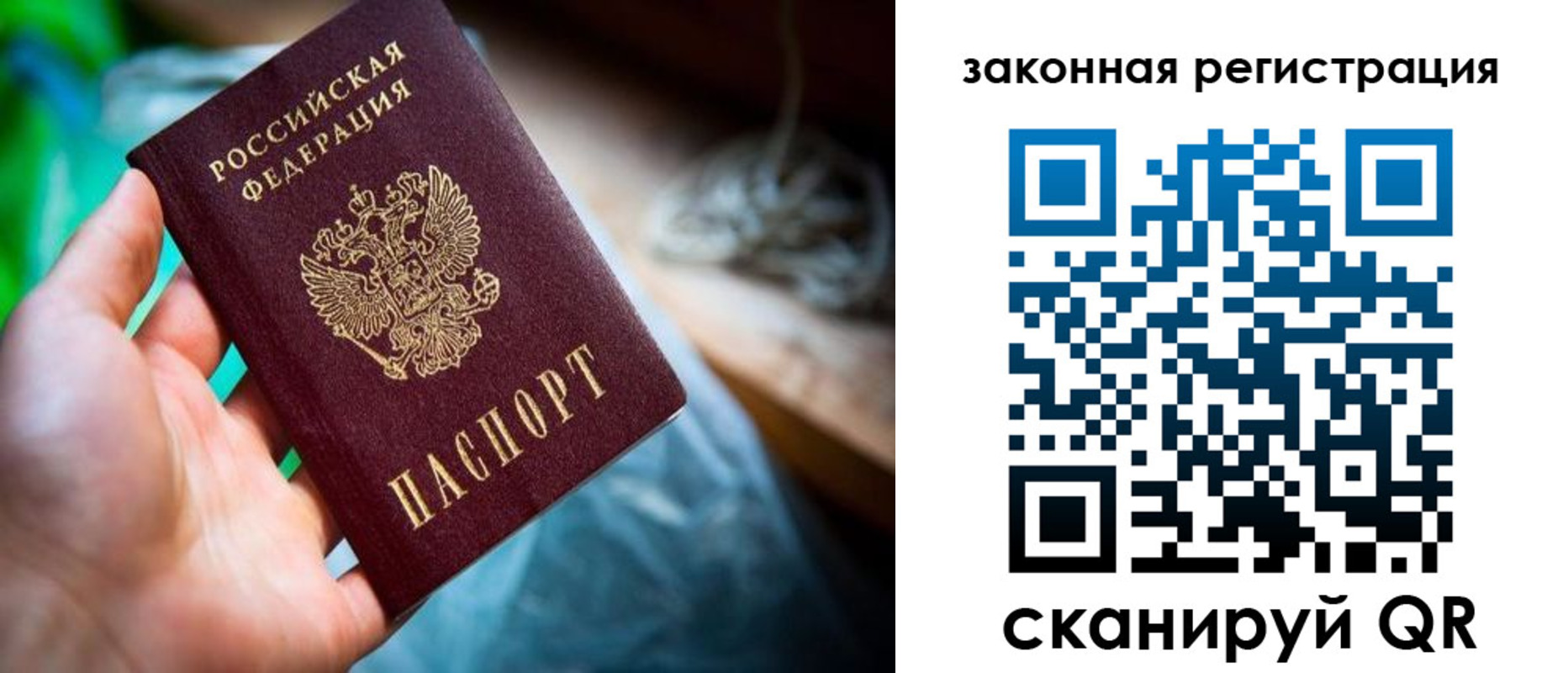 прописка в Лузе